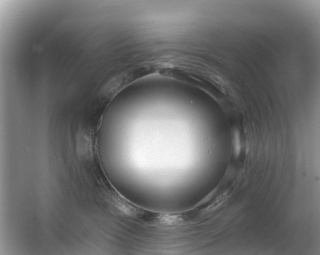 X0000066970333200603311455