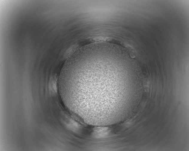 X0000066970334200603311455