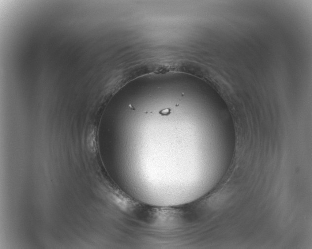 X0000066970336200603311455