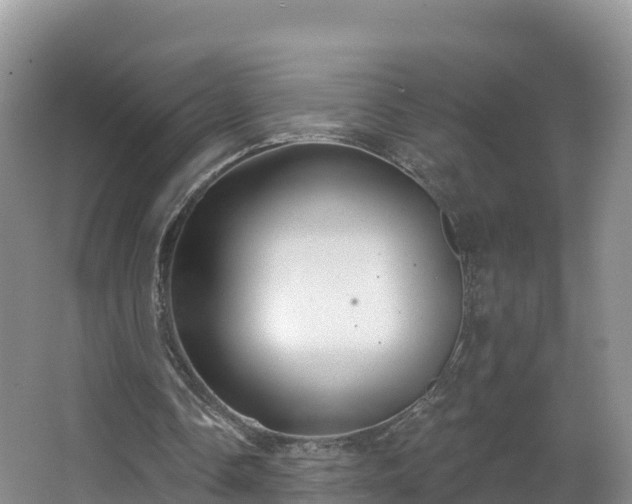 X0000066970338200603311455