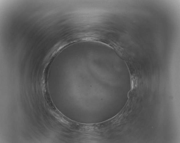 X0000066970339200603311455