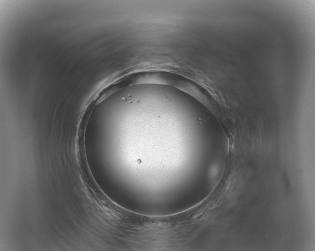 X0000066970340200603311455