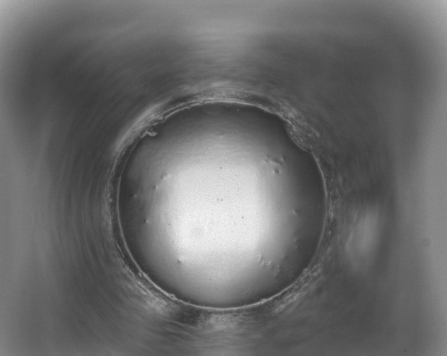 X0000066970341200603311455