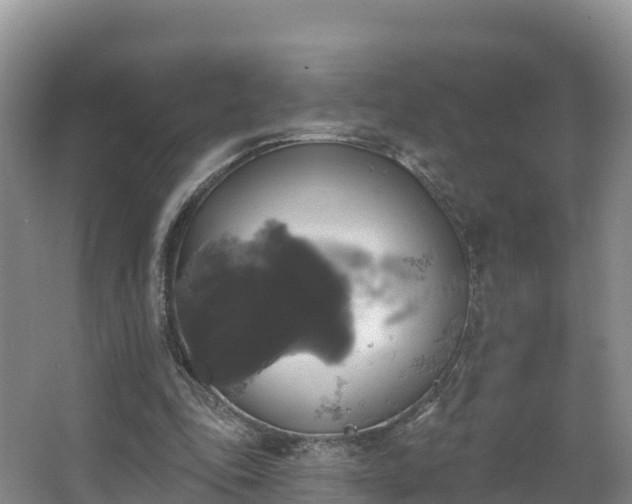 X0000066970343200603311455