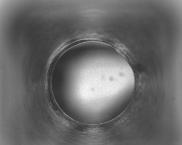 X0000066970344200603311455