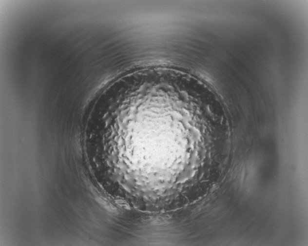 X0000066970345200603311455