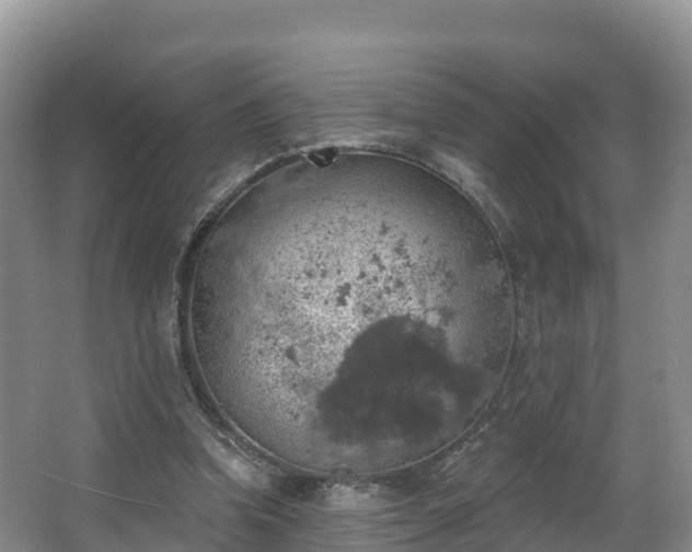 X0000066970346200603311455