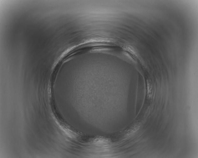 X0000066970348200603311455