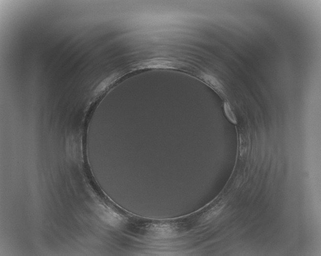 X0000066970349200603311455