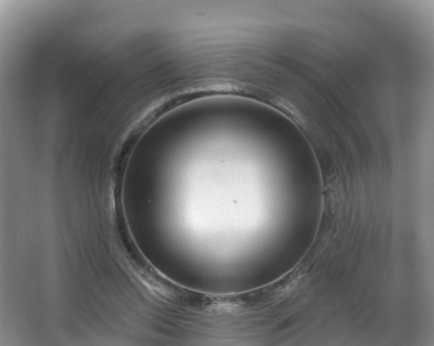 X0000066970350200603311455