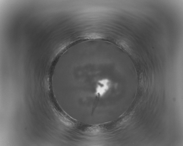 X0000066970351200603311455