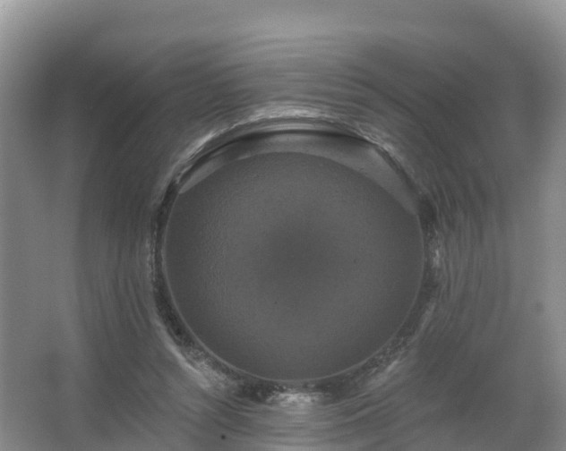 X0000066970352200603311455