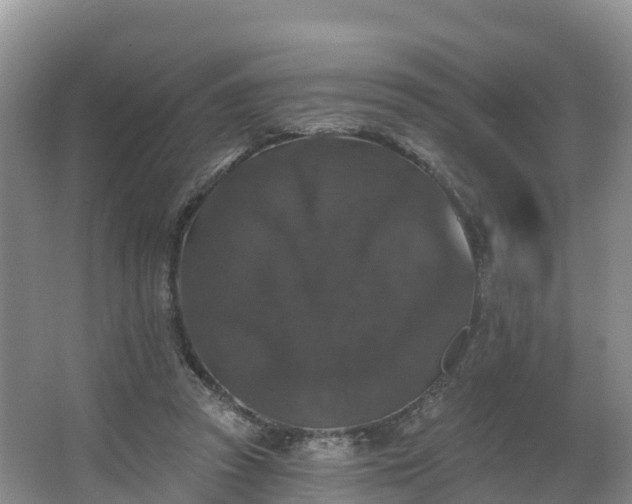 X0000066970353200603311455