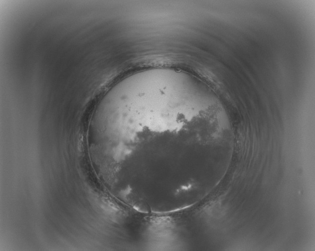 X0000066970355200603311455