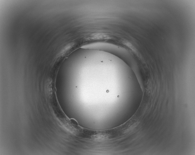 X0000066970356200603311455