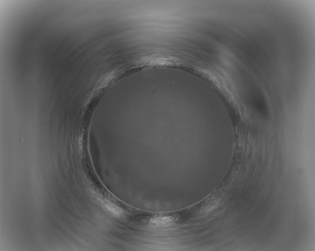 X0000066970357200603311455