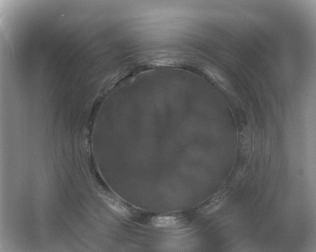 X0000066970361200603311455