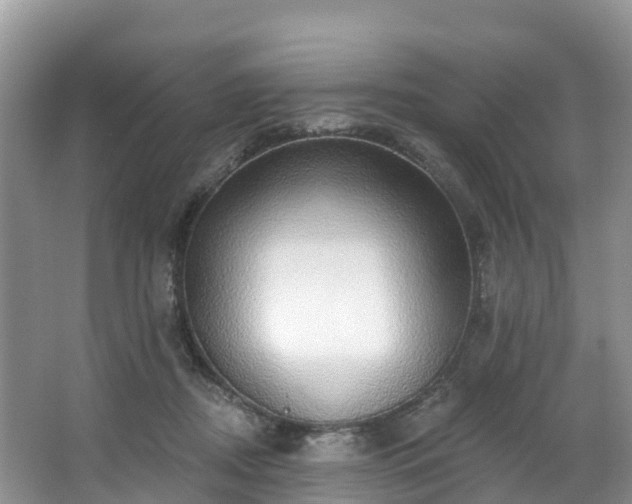 X0000066970362200603311455