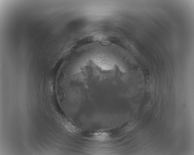 X0000066970363200603311455