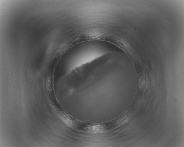 X0000066970365200603311455