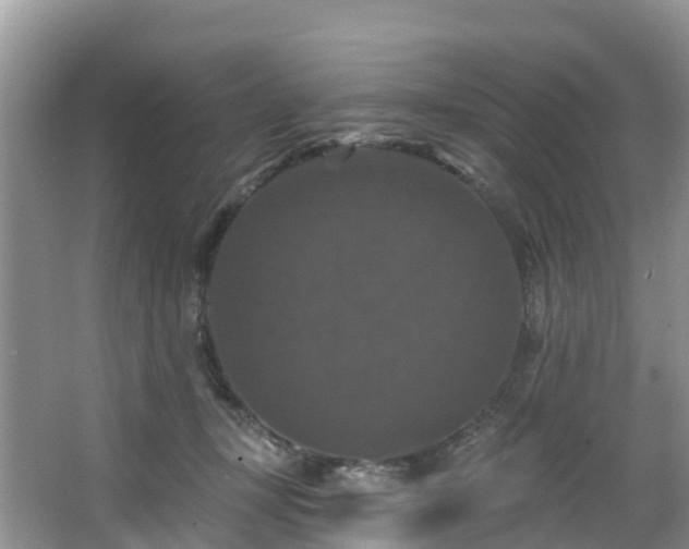 X0000066970367200603311455