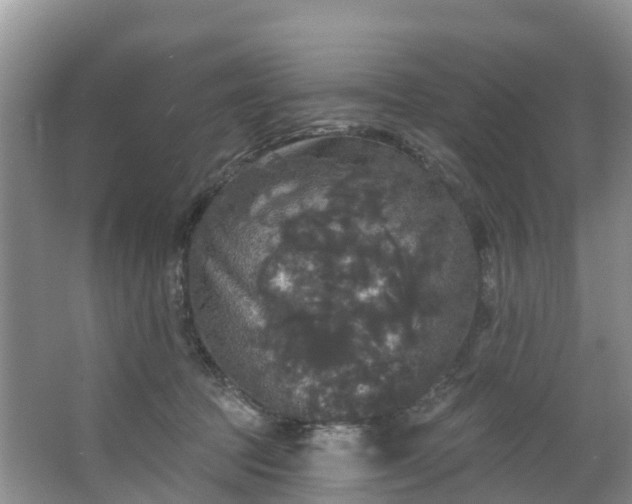 X0000066970369200603311455