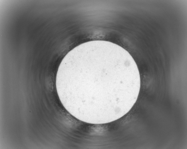 X0000066970370200603311455