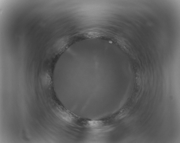 X0000066970371200603311455