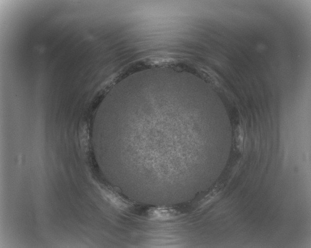 X0000066970372200603311455