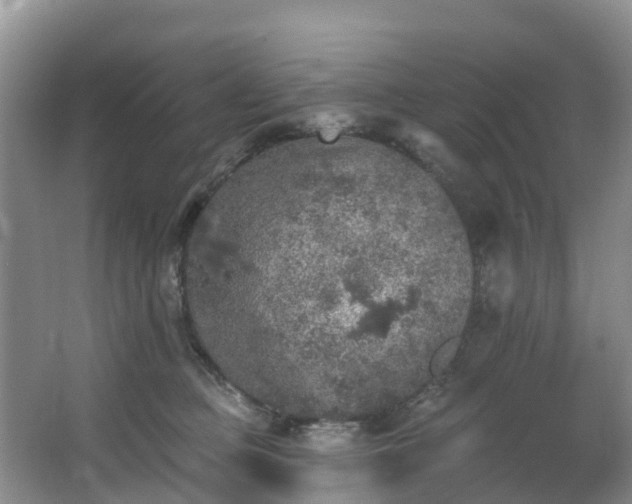 X0000066970373200603311455