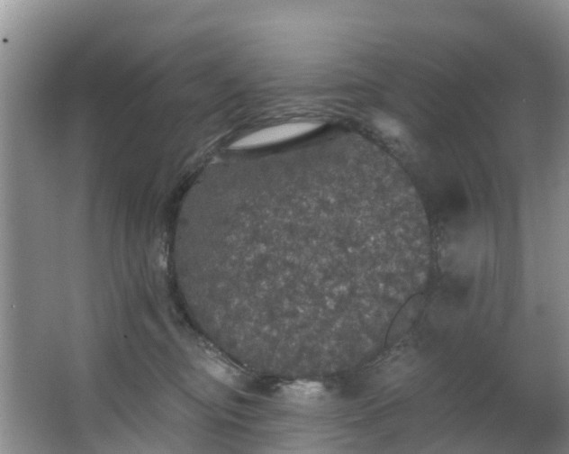 X0000066970374200603311455