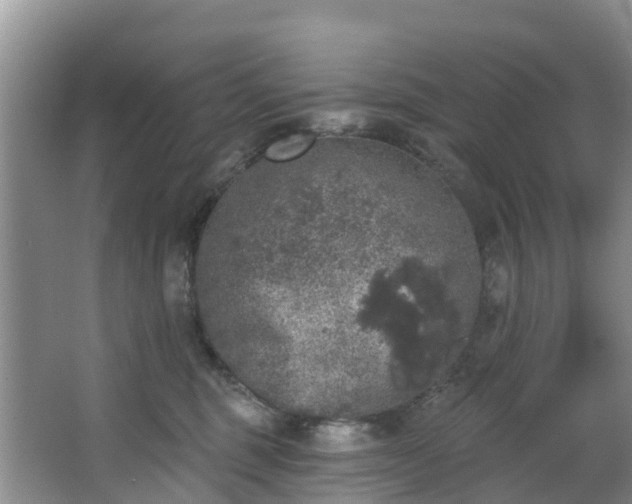 X0000066970375200603311455