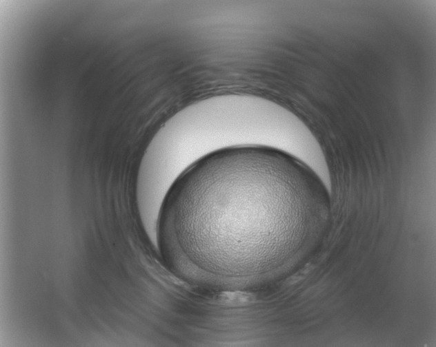 X0000066970376200603311455