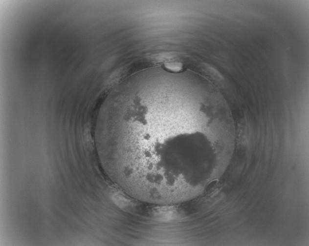 X0000066970377200603311455