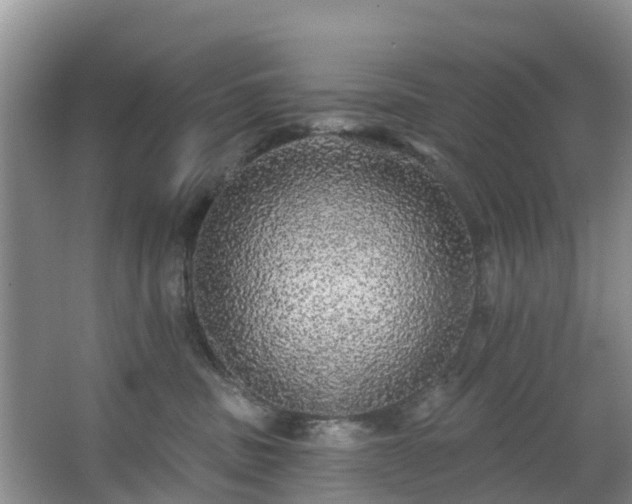 X0000066970379200603311455