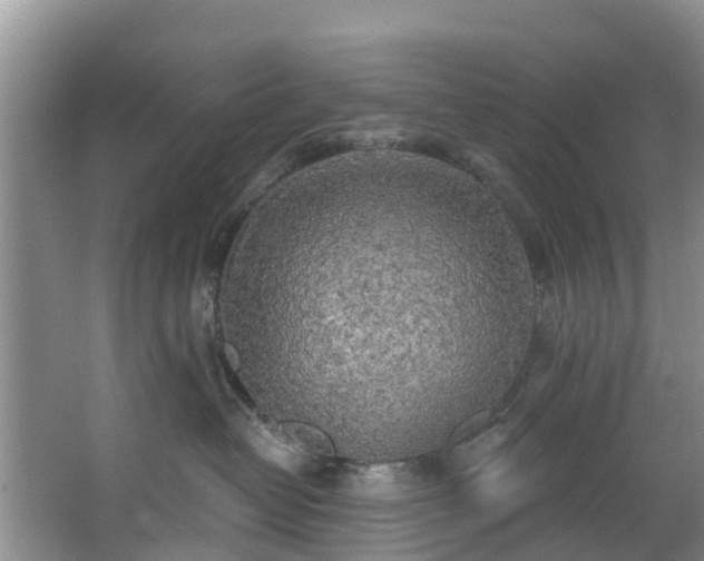 X0000066970382200603311455