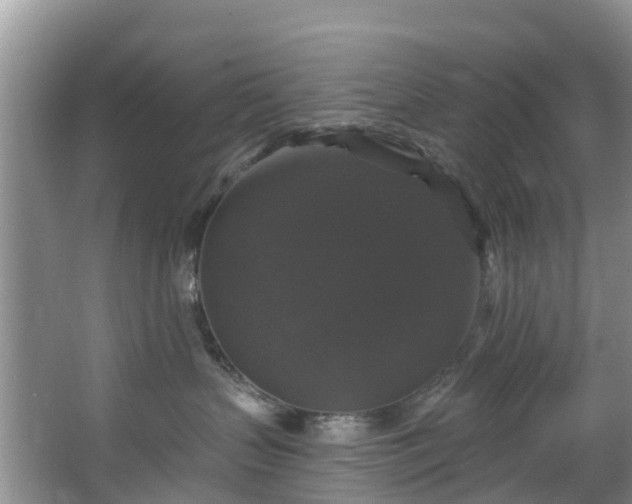 X0000066970383200603311455