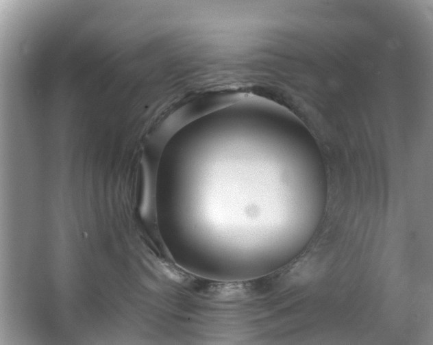 X0000066970384200603311455