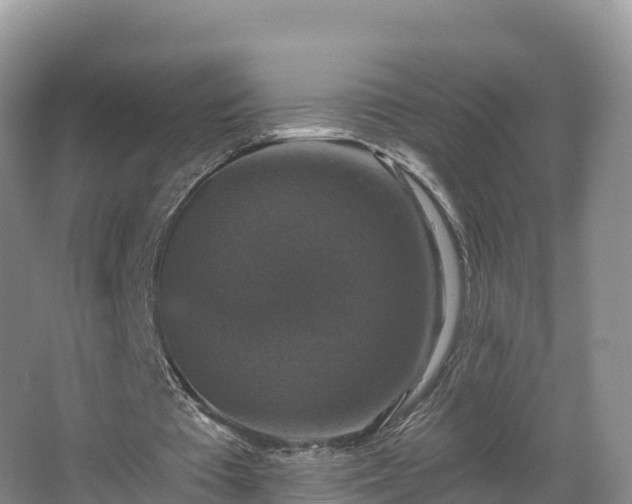 X0000066970385200603311455