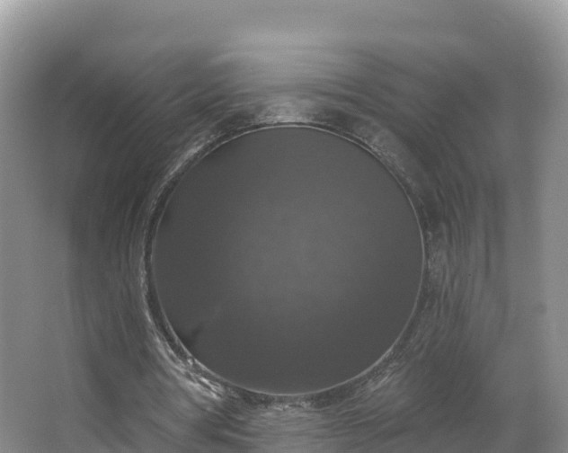 X0000066970386200603311454