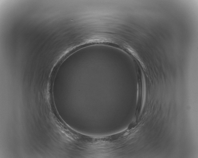 X0000066970387200603311454