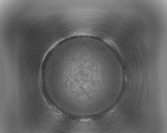 X0000066970388200603311454