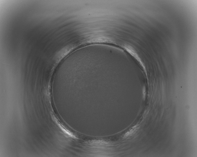 X0000066970389200603311454