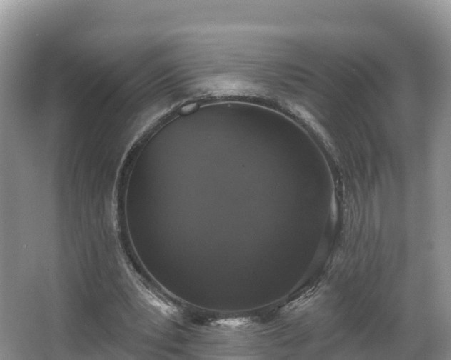 X0000066970391200603311454