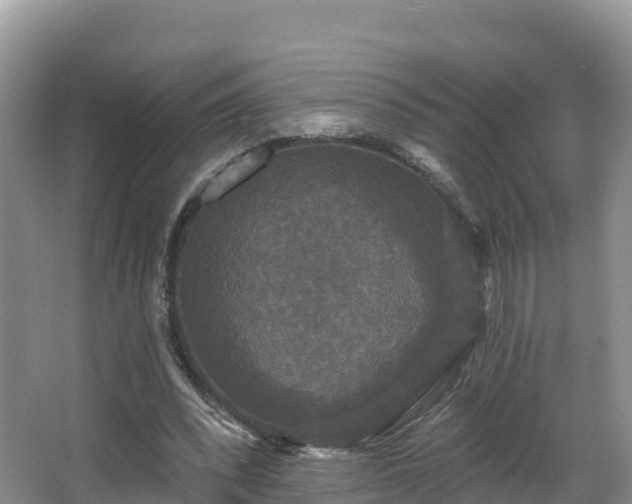 X0000066970392200603311454