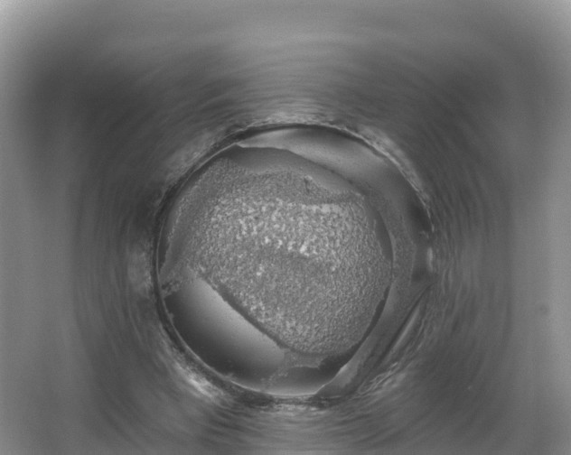 X0000066970393200603311454