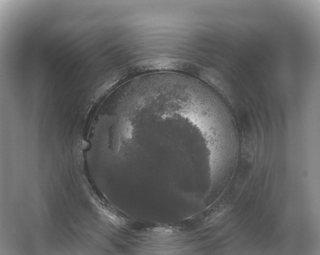 X0000066970394200603311454