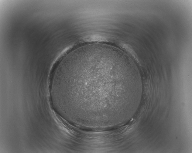 X0000066970395200603311454