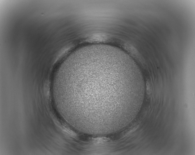 X0000066970396200603311454