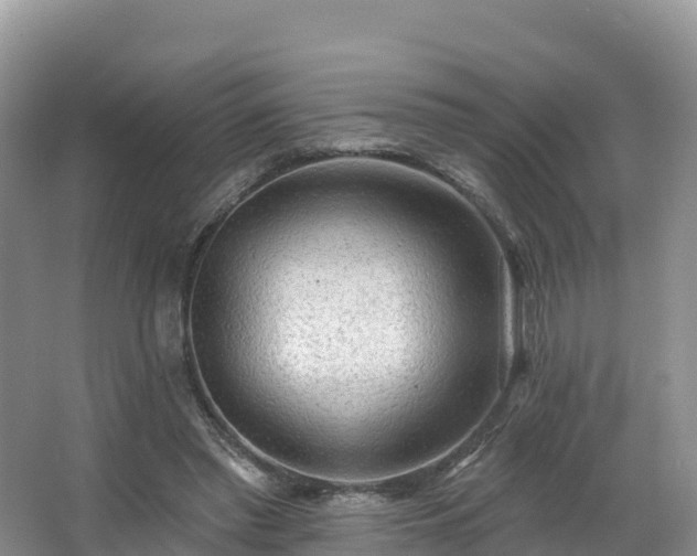 X0000066970397200603311454